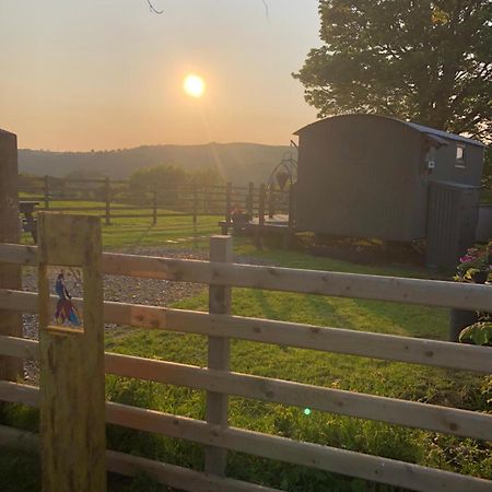 The Peacock Shepherds Hut At Hafoty Boeth Corwen Exterior photo