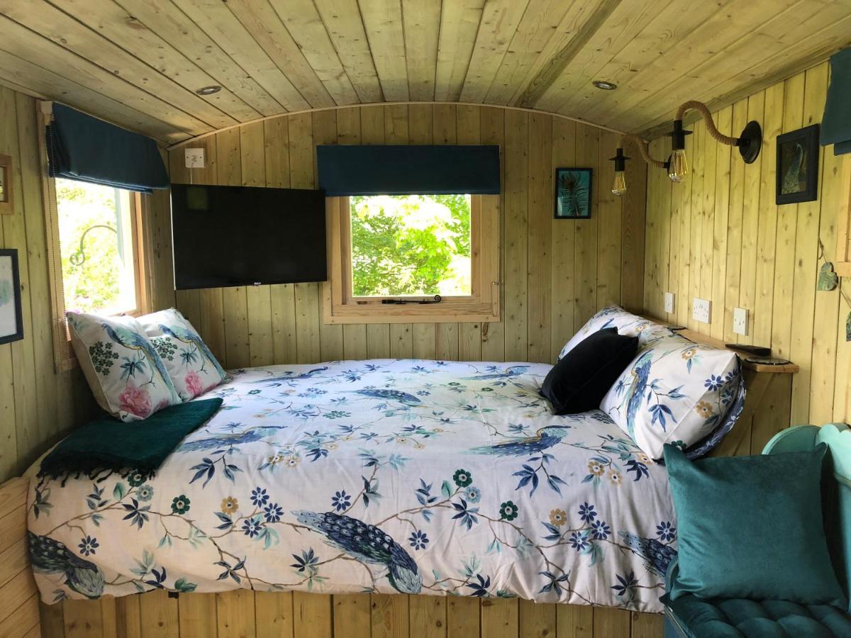 The Peacock Shepherds Hut At Hafoty Boeth Corwen Exterior photo