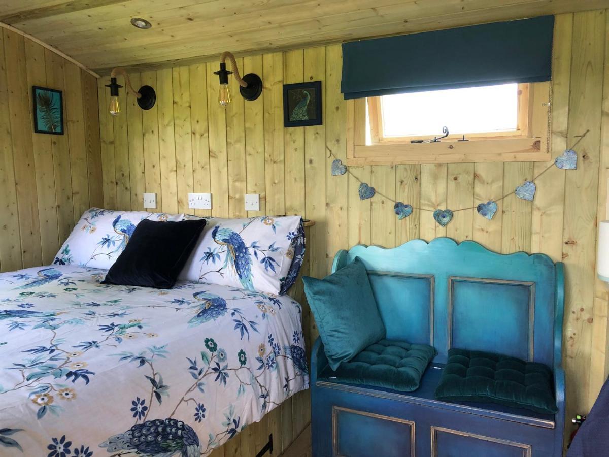 The Peacock Shepherds Hut At Hafoty Boeth Corwen Exterior photo