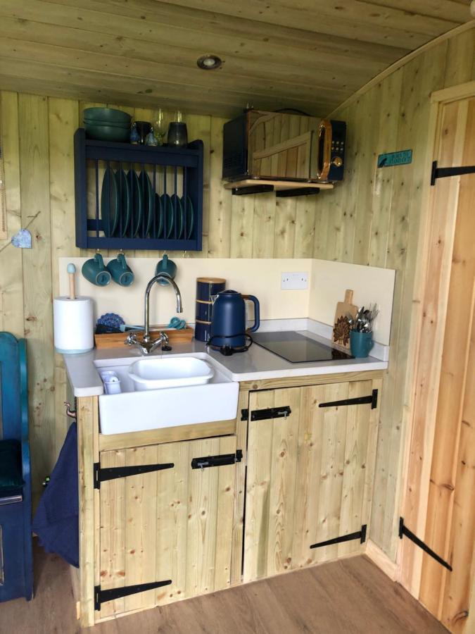 The Peacock Shepherds Hut At Hafoty Boeth Corwen Exterior photo